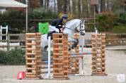 PONEY ÉTALON CCE CHAMPION DE FRANCE P ÉLITE D JUNIOR