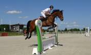 NEMESIS D'HOOGPOORT / Jument / 6 ans / CSO 