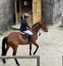 NEMESIS D'HOOGPOORT / Jument / 6 ans / CSO 