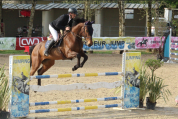NEMESIS D'HOOGPOORT / Jument / 6 ans / CSO 