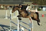 ORRIKE / Jument 6 ans / CSO 