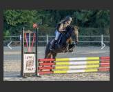 Ponette C à confier