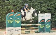 Poney de sport à vendre 