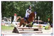 Poney à vendre 