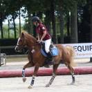 Poney à vendre 