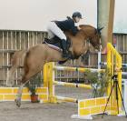 Poney à vendre 
