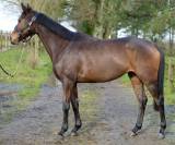 A vendre Amzer de kerbarh