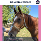 DANCEBLUESPAIX - PS - 9 ANS