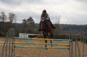 A vendre cheval maître d’école 