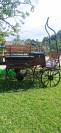 Attelage cheval 6 places