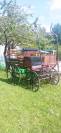 Attelage cheval 6 places