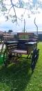 Attelage cheval 6 places