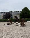 Jument de sport à vendre 