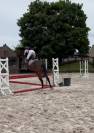 Jument de sport à vendre 