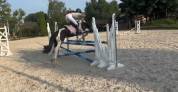 Ponette C de sport à vendre 
