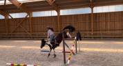 Ponette C de sport à vendre 