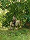 Formidable jument de loisir pie palomino aux yeux bleus