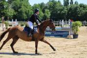 Jument SF 15 ans par Allegreto Moselle