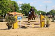 Jument SF 15 ans par Allegreto Moselle