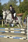 Jolie jument de 6 ans 