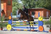 Ponette 8 ans idéal compet 