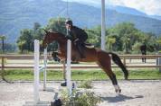 Ponette 8 ans idéal compet 