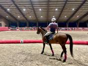 Vente cheval de sport 