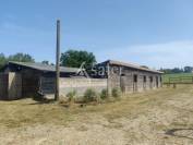 Hippisch vastgoed Koop tarn