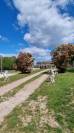 Propriet&agrave; equestre In vendita tarn
