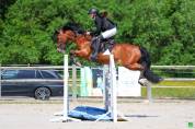 Poney de sport à vendre