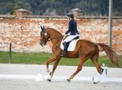 Vice - champion Europe dressage 2022