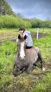 Pouliche AA de 3 ans