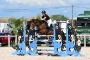 Poney de Sport (CSO - TREC) à vendre 8 300€