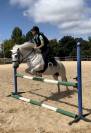 Féline, jument Camargue de 10 ans