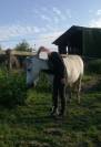 Jolie ponette 9 ans taille A