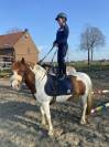 Top ponette 1m39 