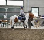 Top ponette 1m39 