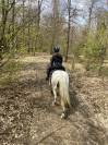Top ponette 1m39 