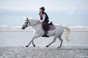 Ponette polyvalente 1m15