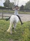 Ponette polyvalente 1m15