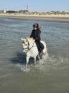 Ponette polyvalente 1m15