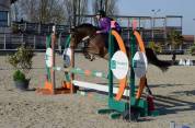 Poney maxi C