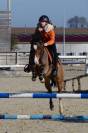 Poney maxi C