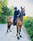 Belle trotteuse de 13 ans – jument avec bon mental et b