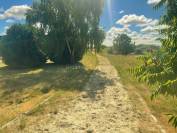 Stoeterij Koop Indre-et-Loire