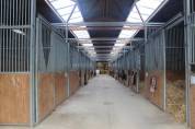 Haras Fonctionnel et Moderne pour Projet Équestre