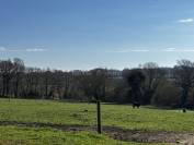 Equestrian property  Morbihan