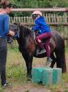 Magnifique poney pottock 