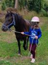 Magnifique poney pottock 