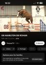 Hongre de 8 ans 